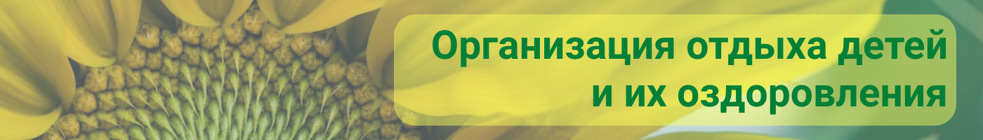 banner__image